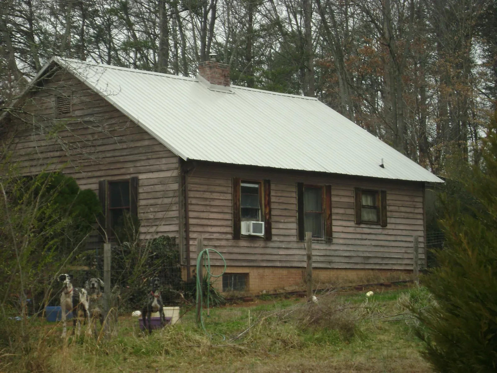 White metal roof on an old wood sided farmhouse, from a Asphalt Shingle Roof Repair job in Harrisonburg